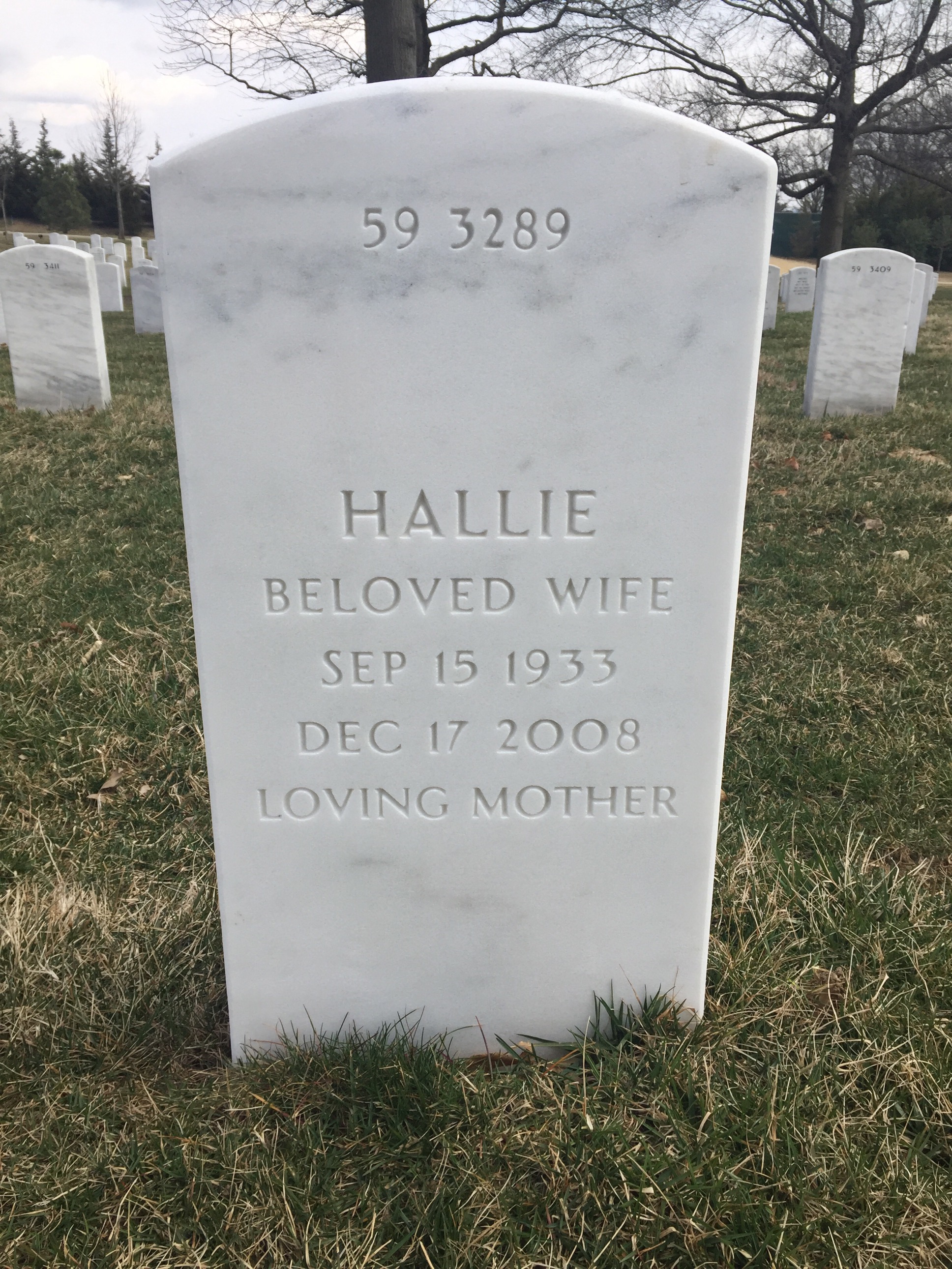 Back of headstone — Ben Singleton