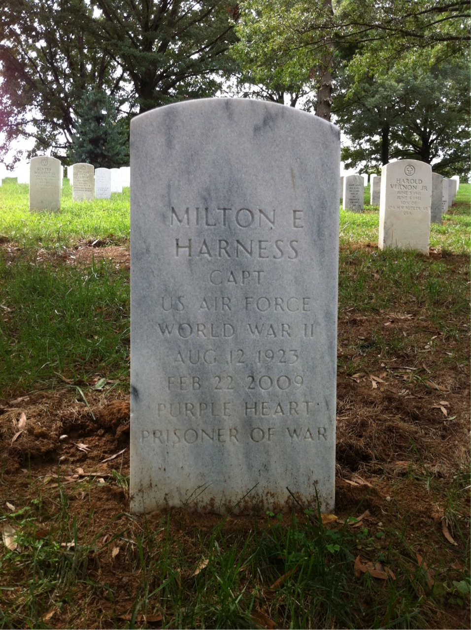 Milton Harness