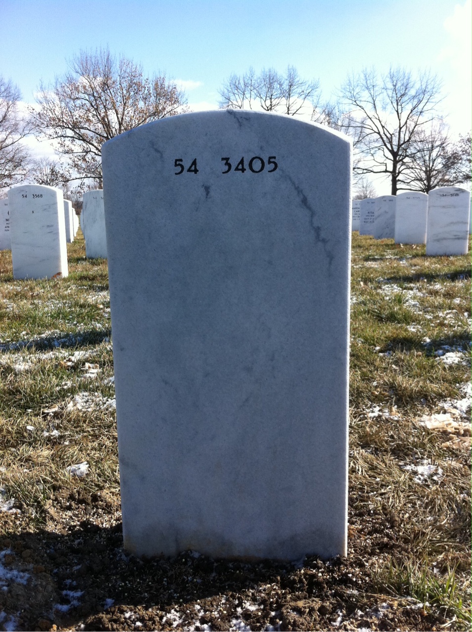 Back of headstone — Travis Morris Ellis