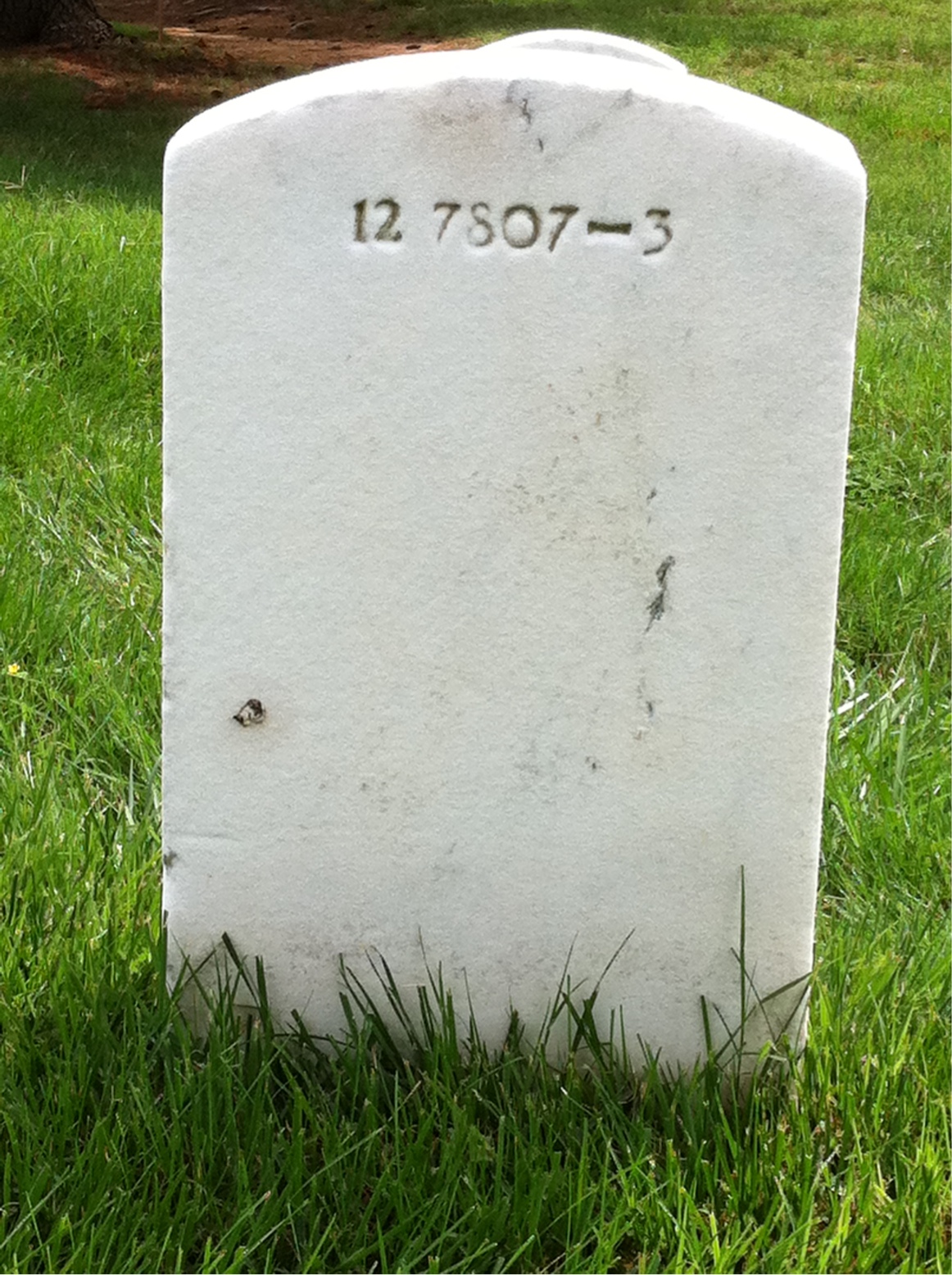 Back of headstone — William Miss