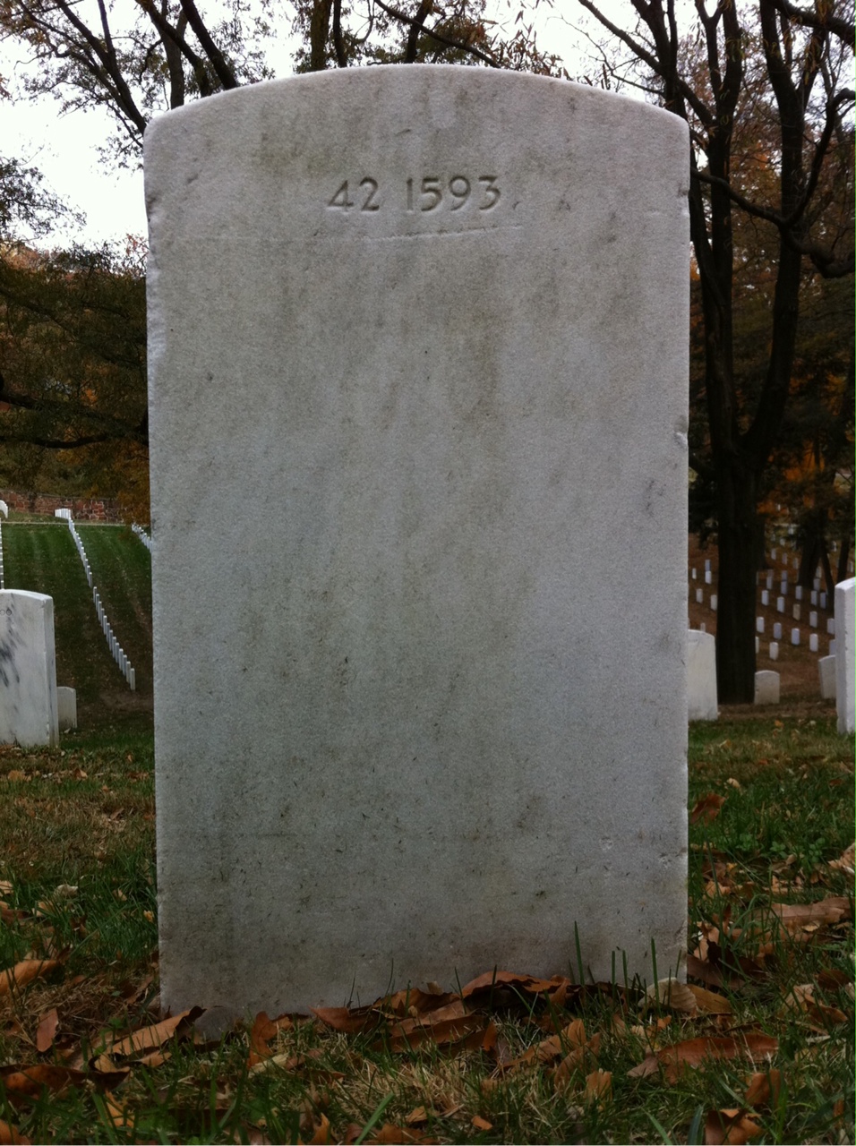 Back of headstone — Curtis Alston