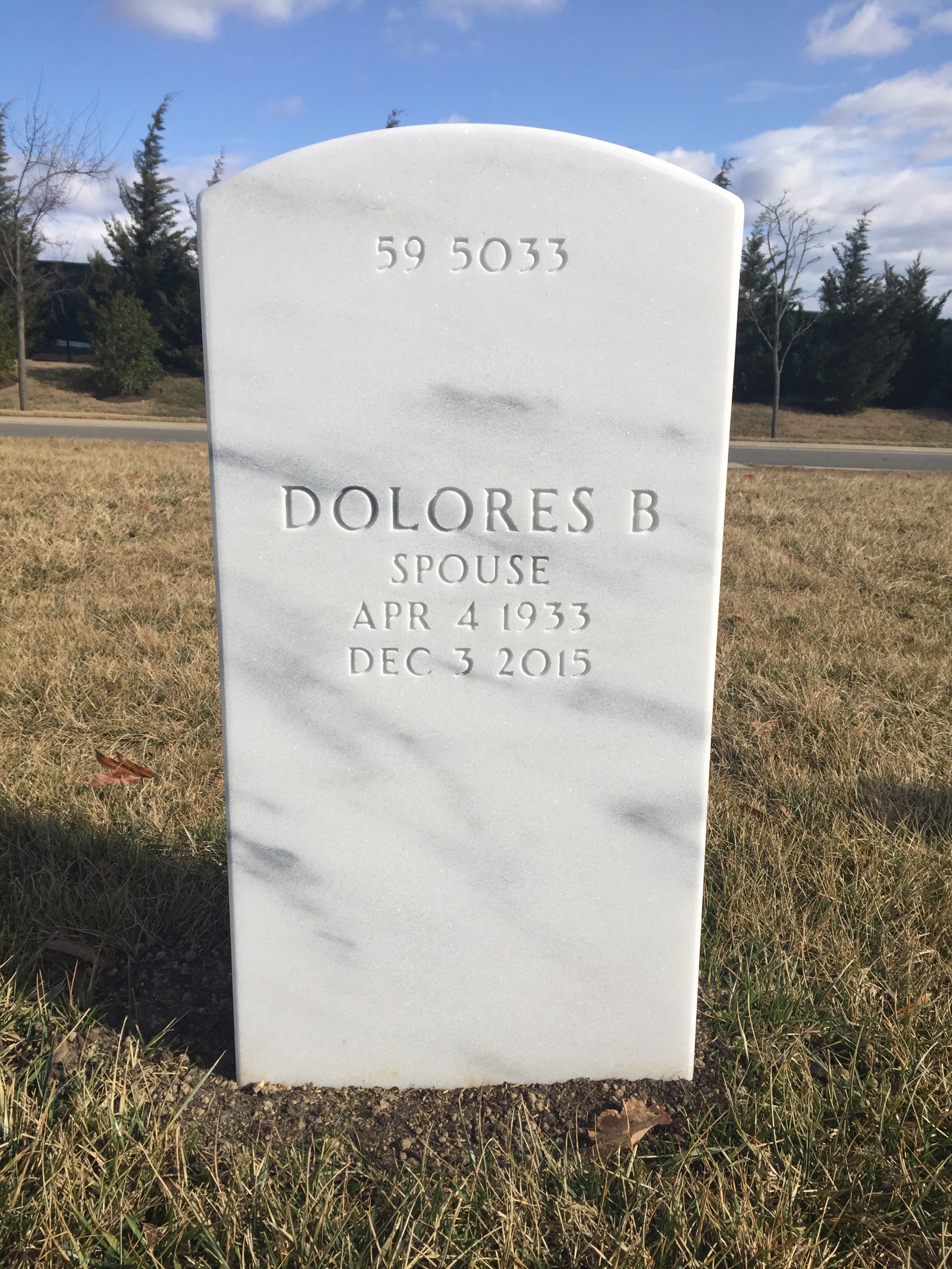 Back of headstone — William Lee Rayfield