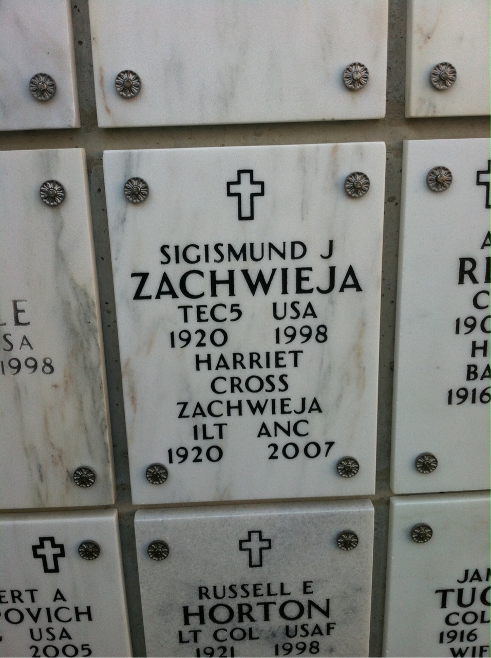 Harriet Zachwieja