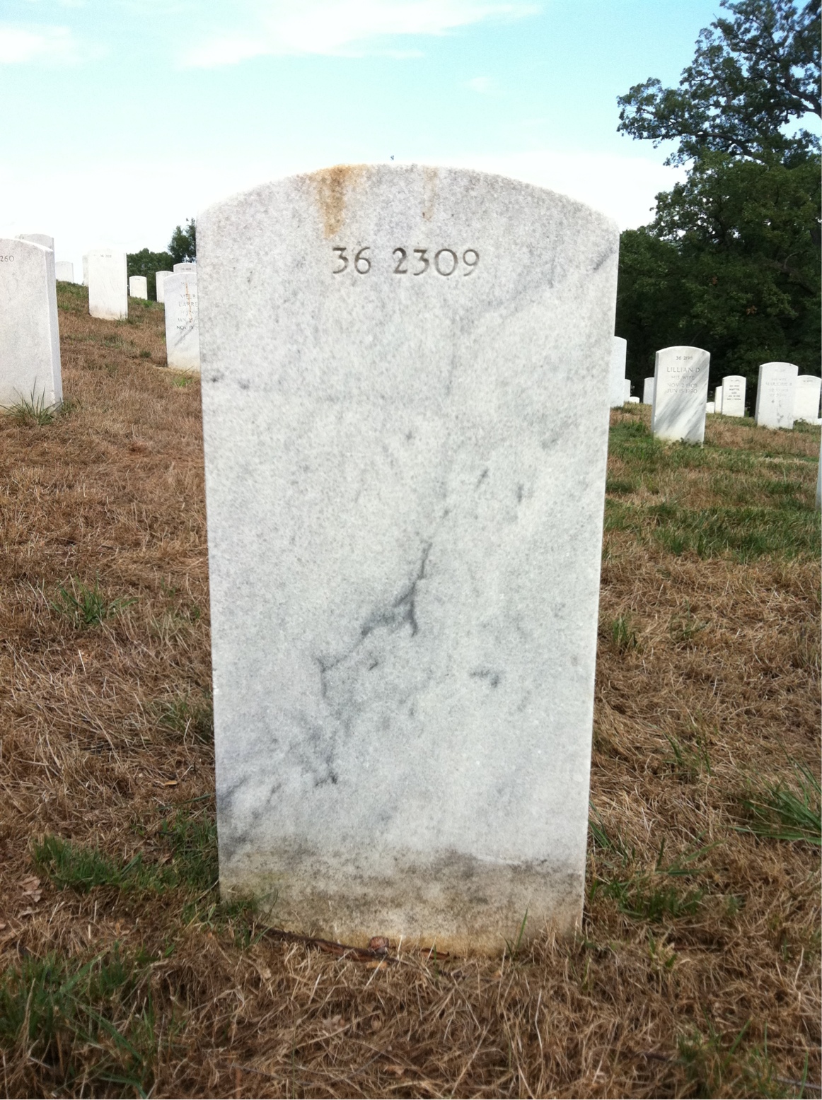 Back of headstone — Adele Allison