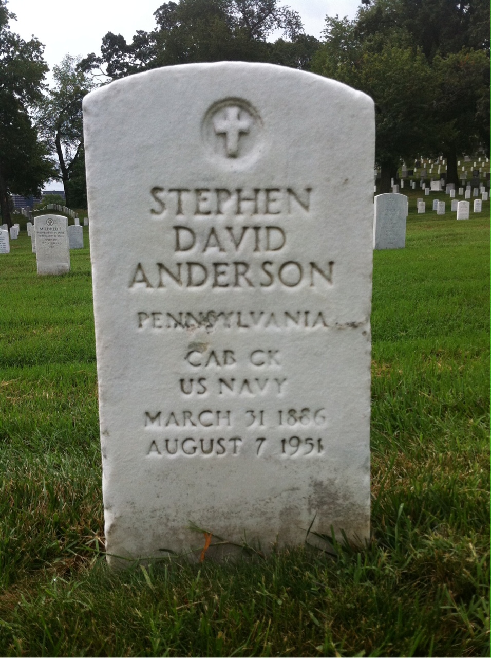 Stephen Anderson