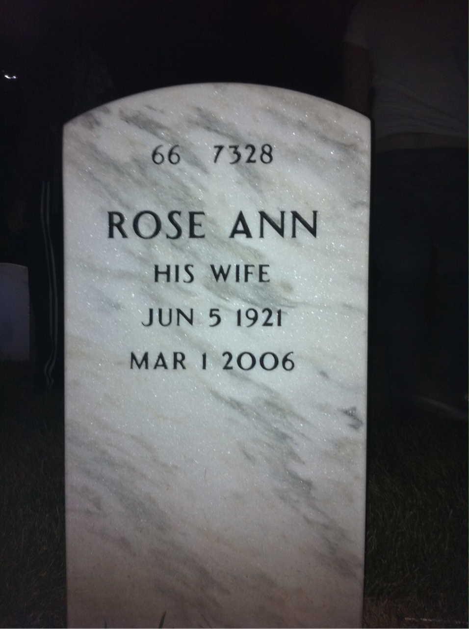 Back of headstone — William Johnson