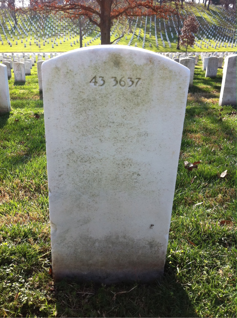 Back of headstone — Walter Moxie