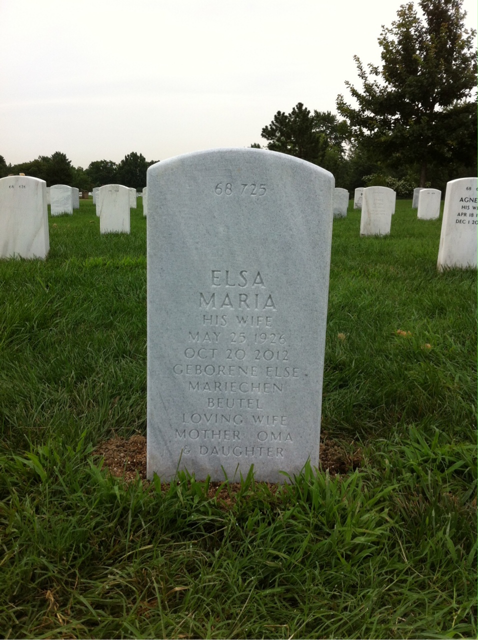 Back of headstone — Henry Andole