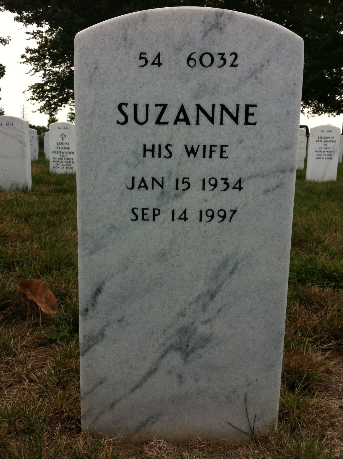 Back of headstone — Donald Schoenlein