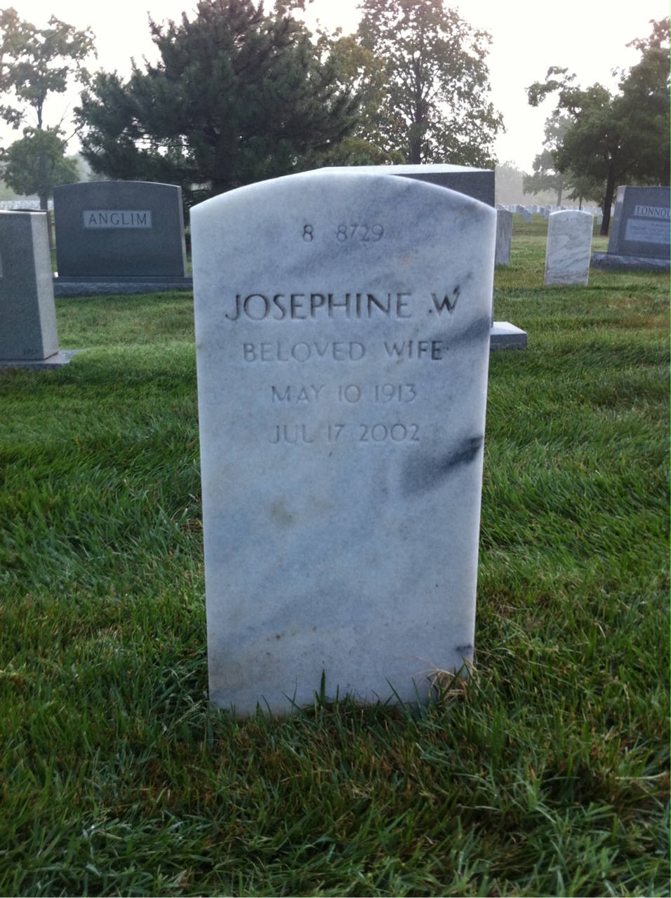 Back of headstone — William C Dale