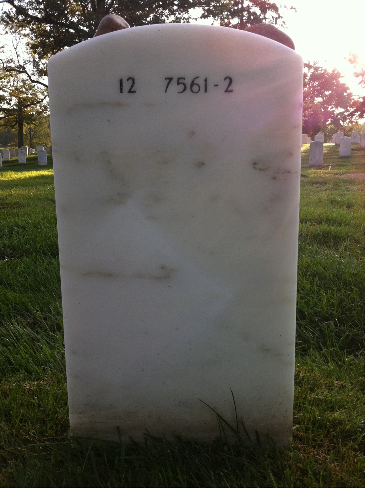 Back of headstone — David Link