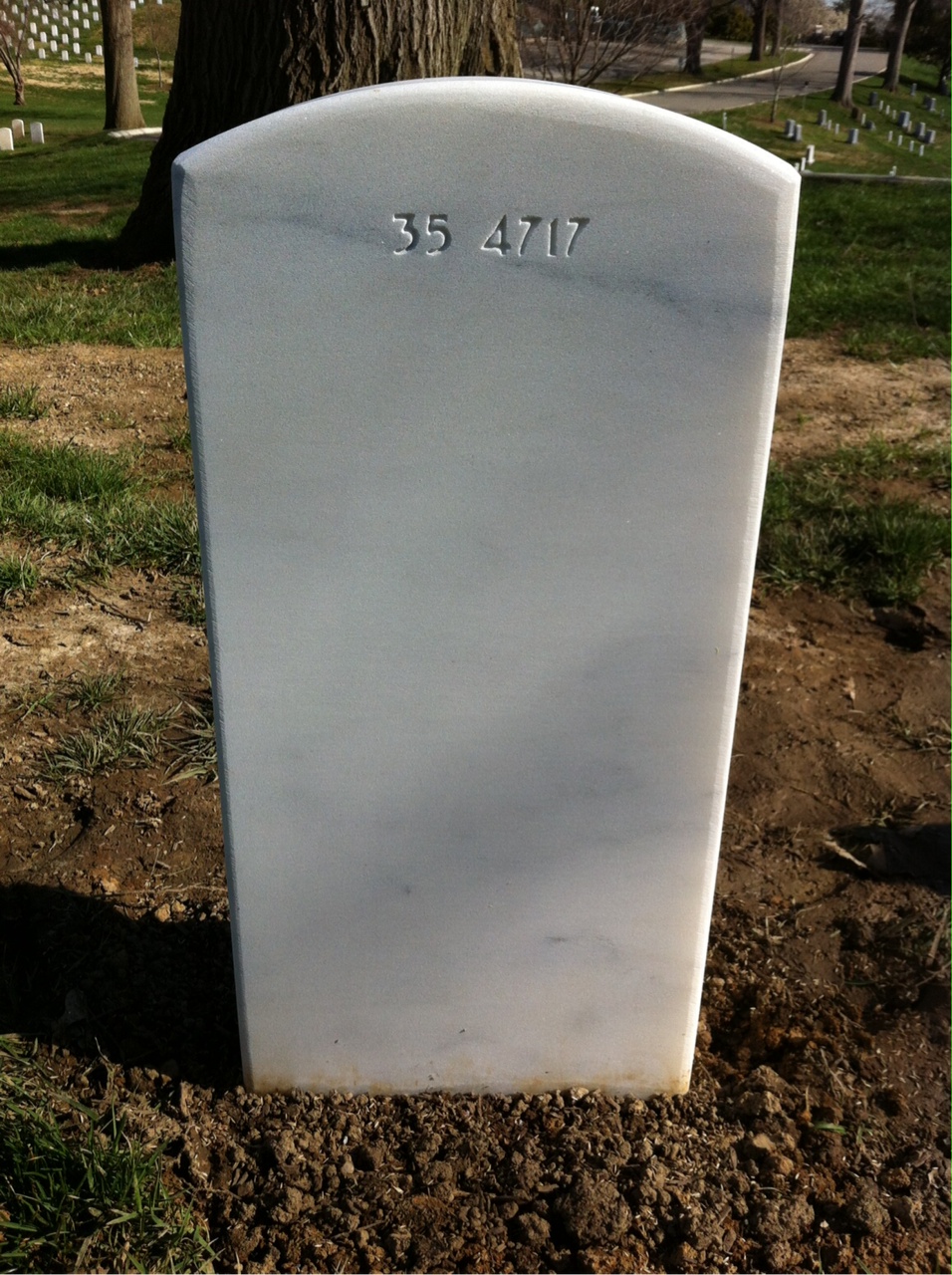 Back of headstone — William Reed Craig