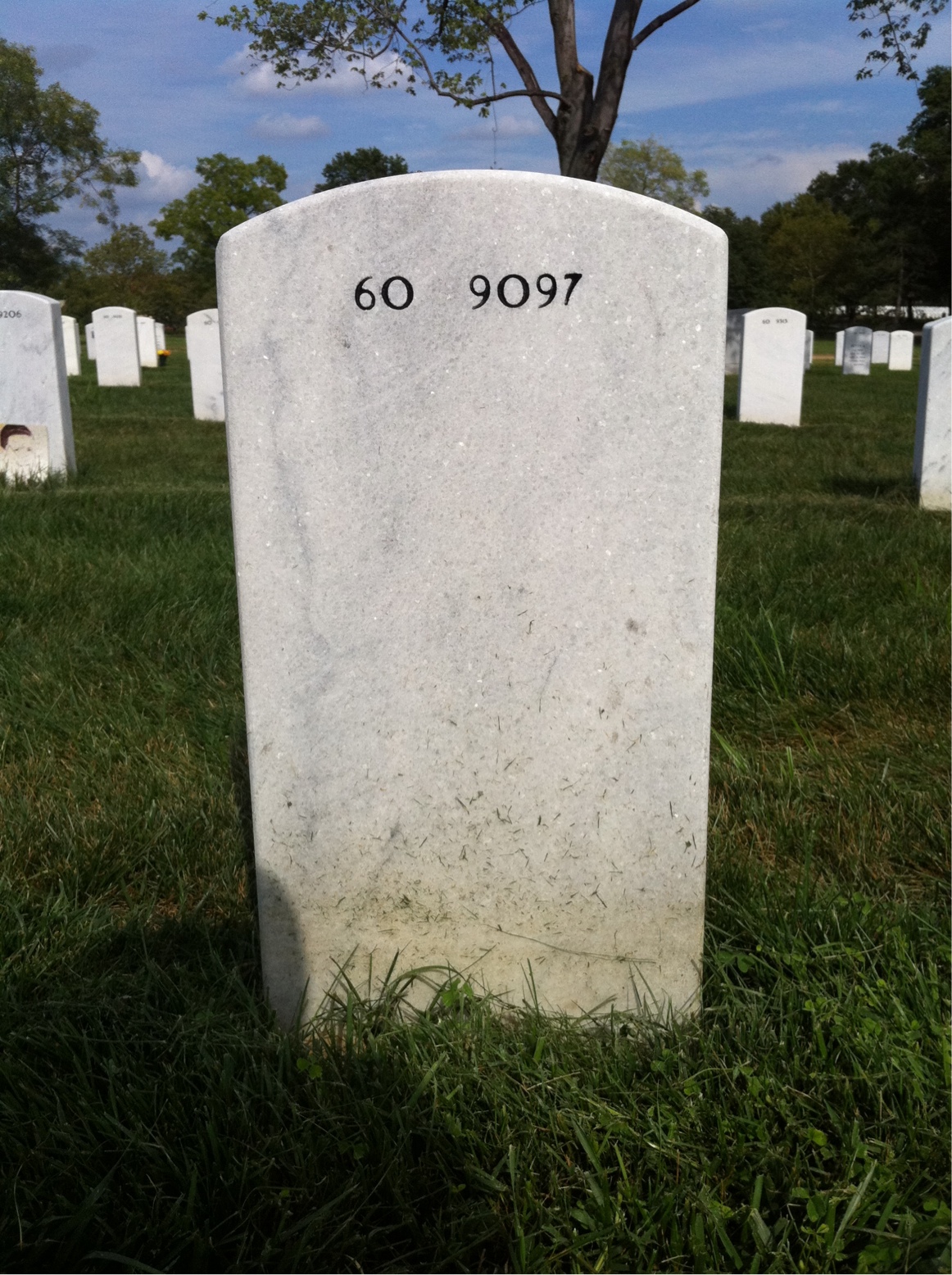 Back of headstone — James Cody