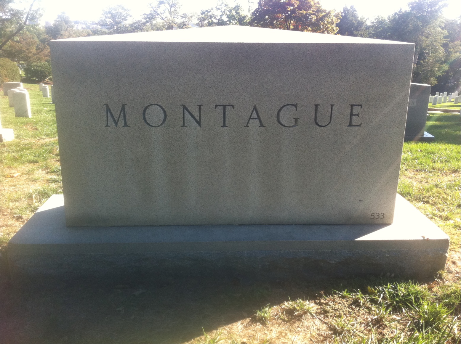 Back of headstone — Mary Montague
