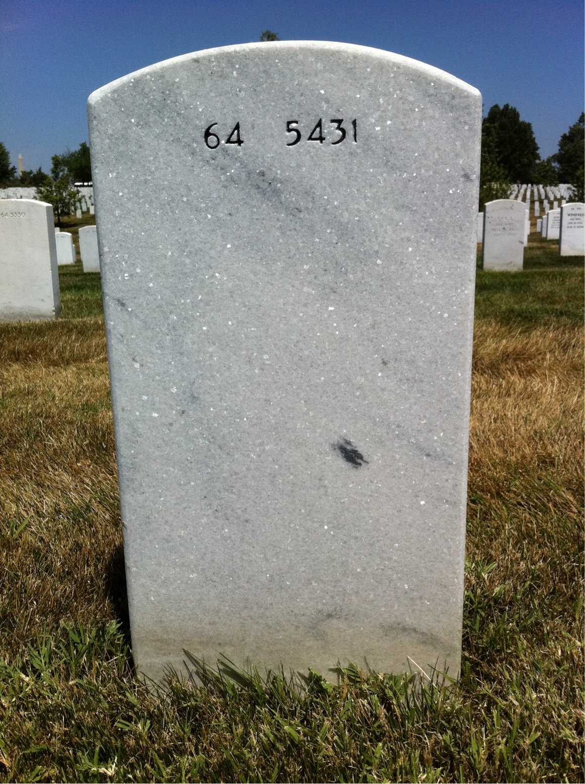 Back of headstone — Lloyde Martin