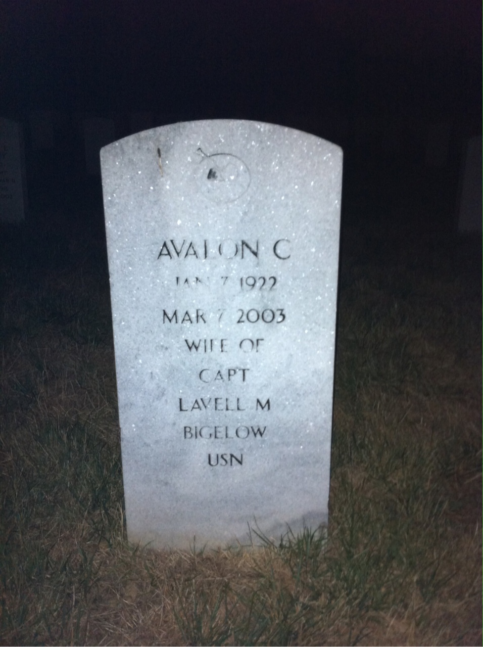 Andrew Bigelow