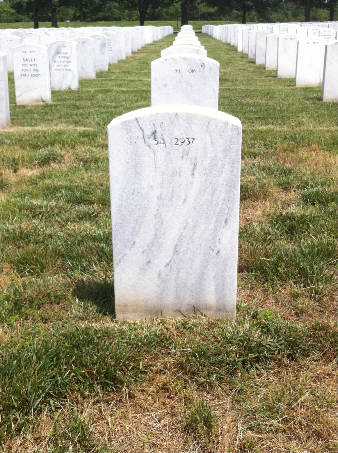 Back of headstone — Frank Esola