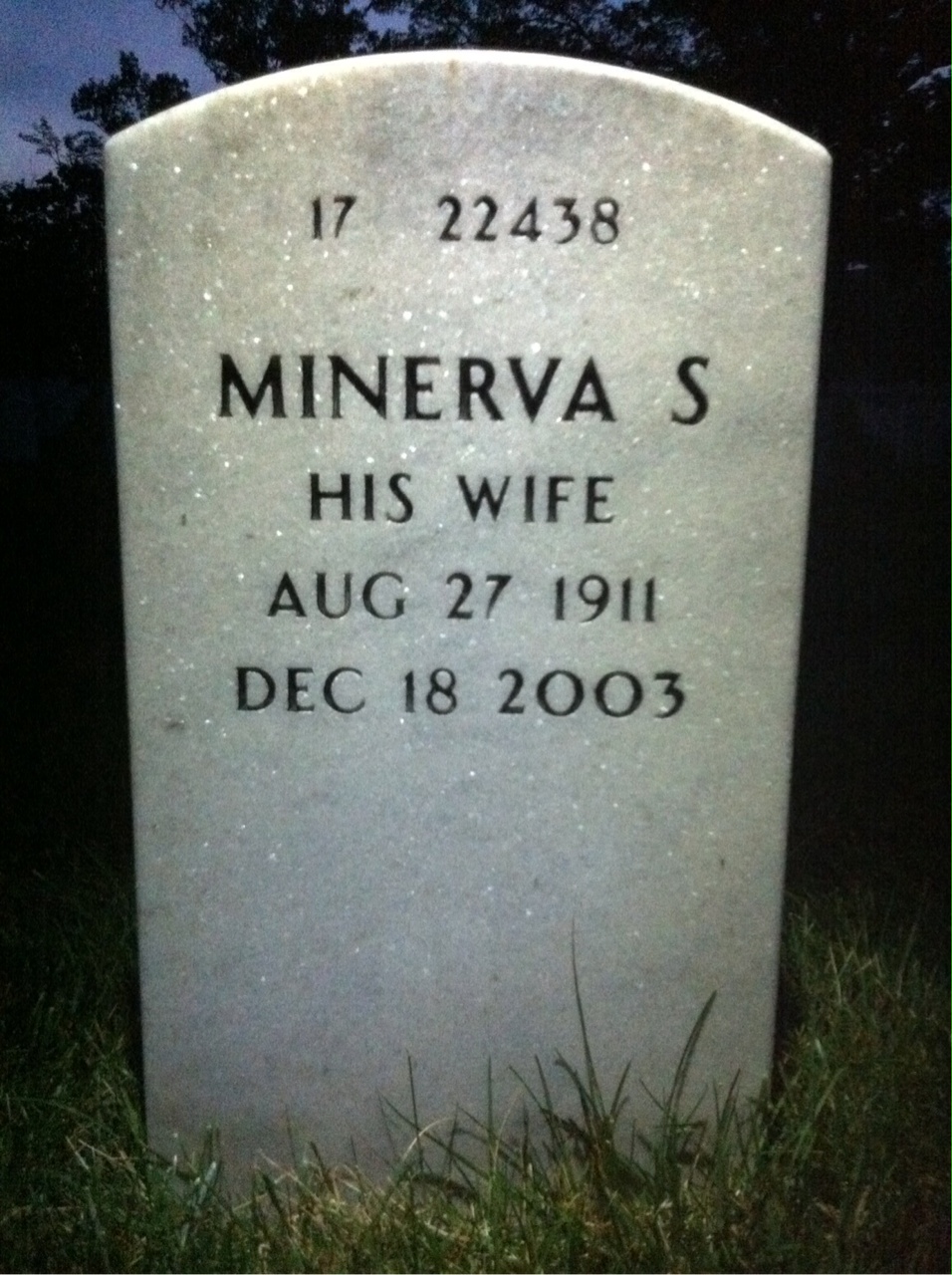 Back of headstone — Ervin Masincup