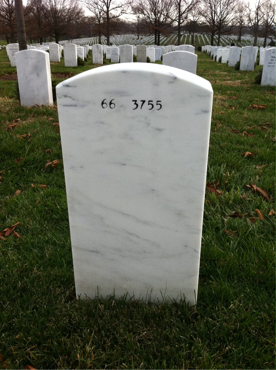 Back of headstone — Ervie Foster