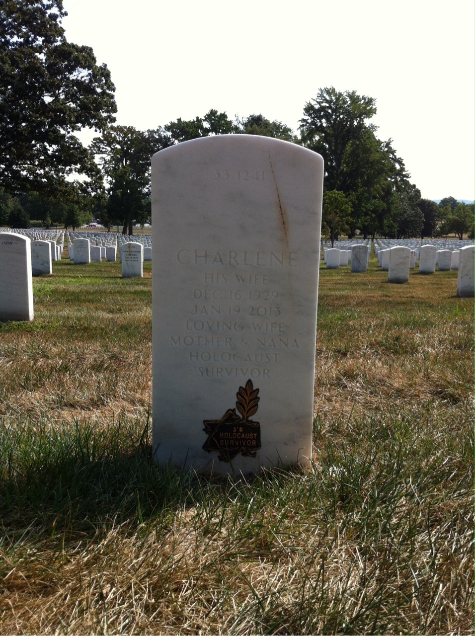 Back of headstone — Erwin Schiff