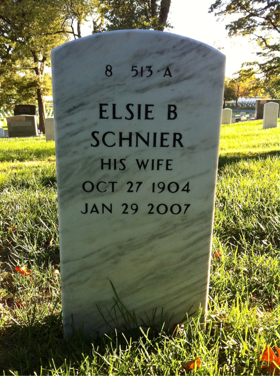 Back of headstone — Edwin Hamilton
