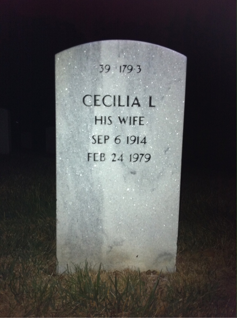 Back of headstone — Andrew Banas