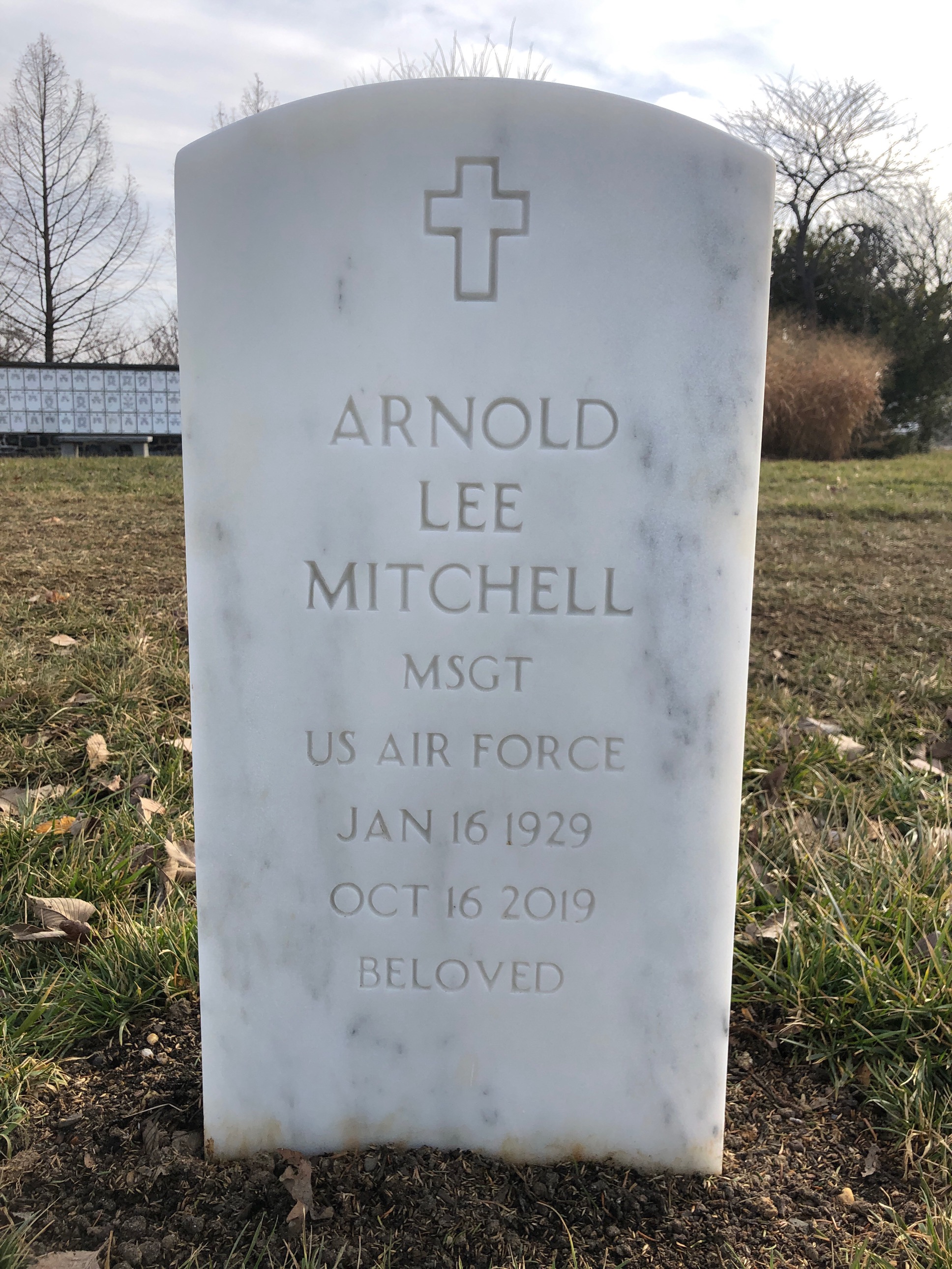 Arnold Mitchell