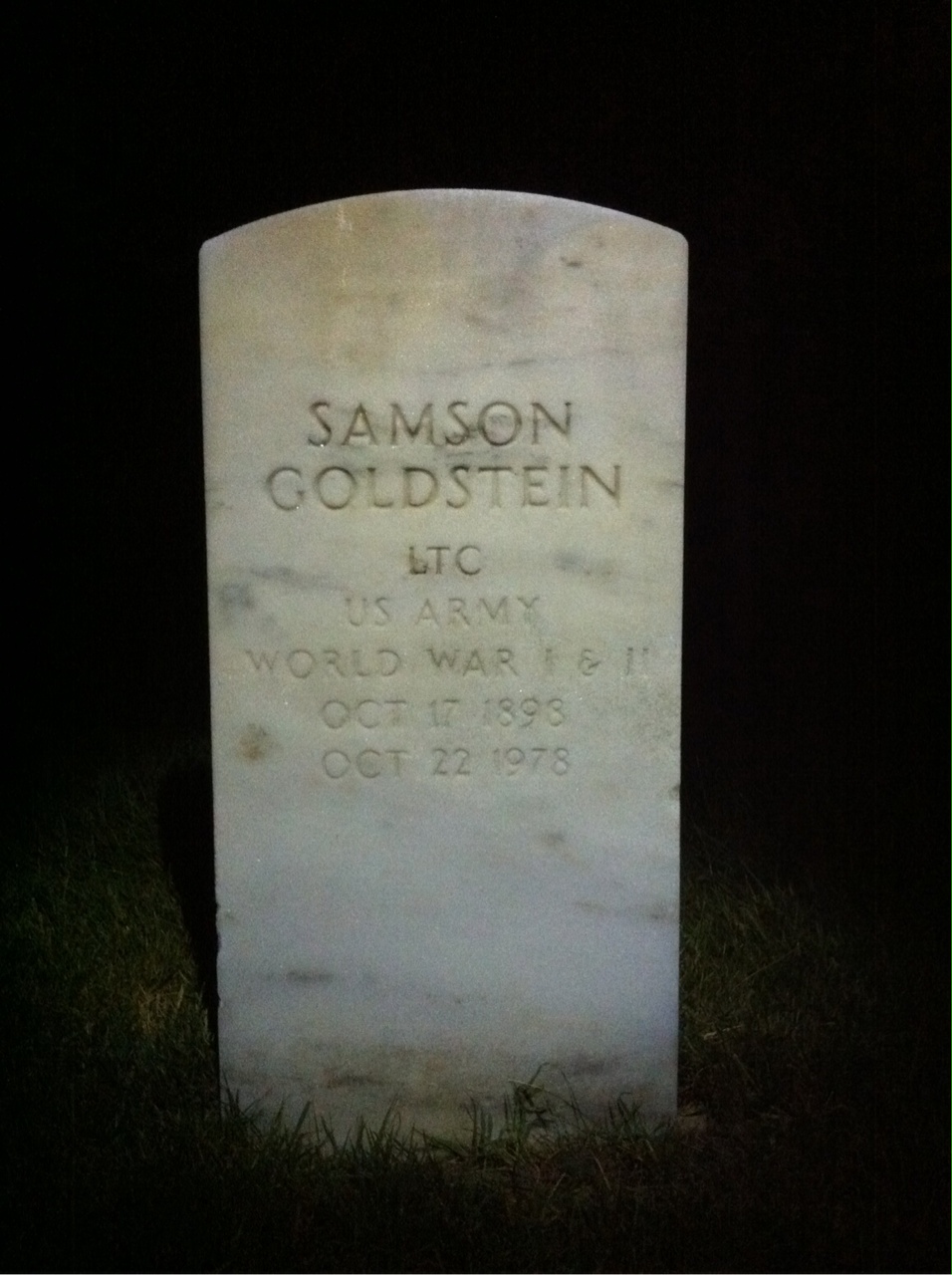 Samson H Goldstein