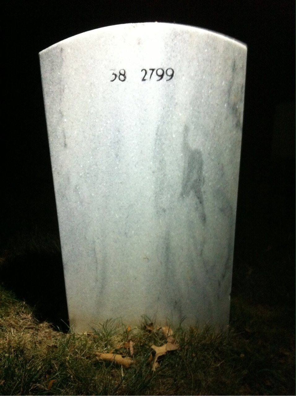 Back of headstone — Preston Alston