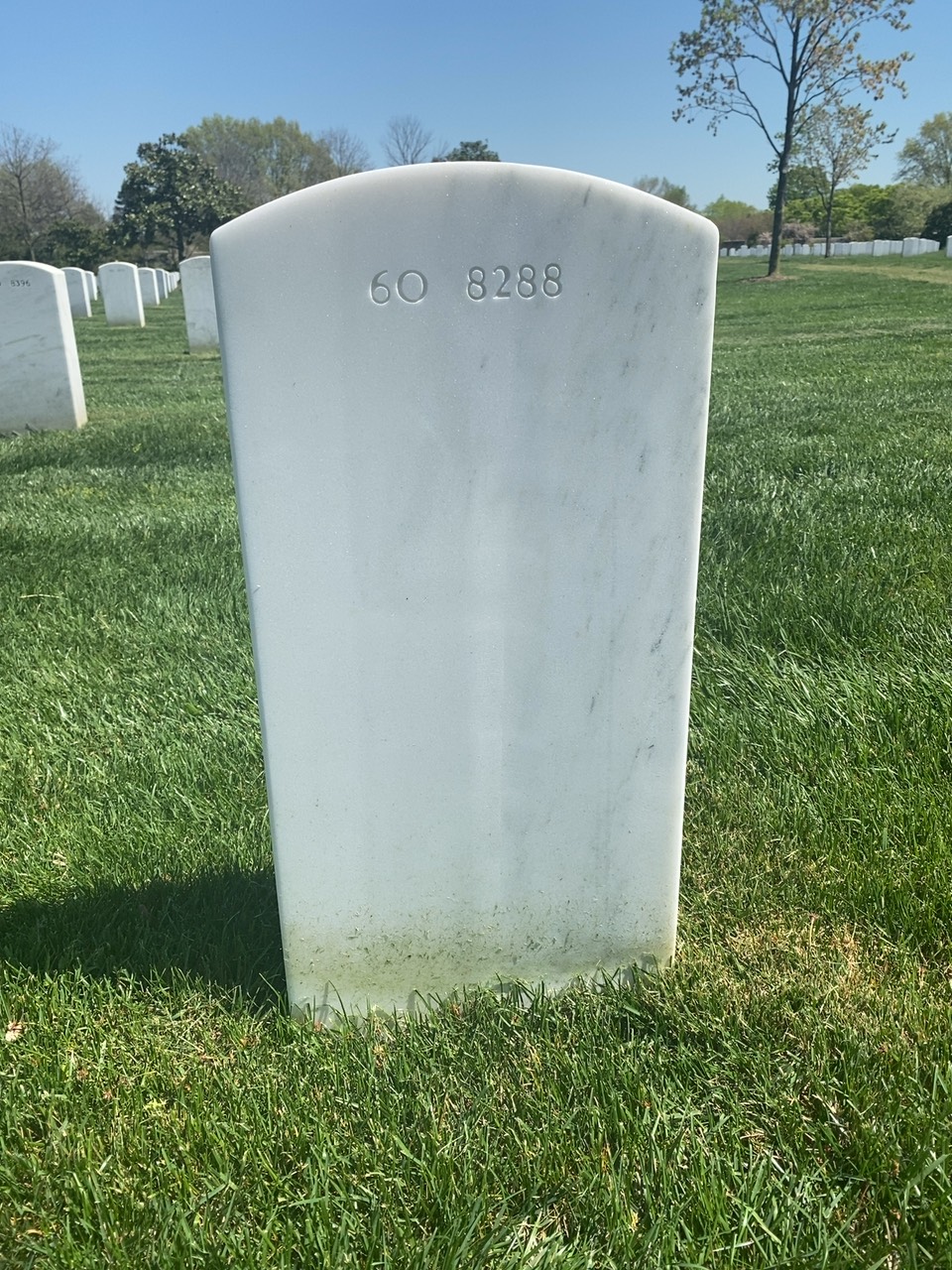 Back of headstone — Leon James