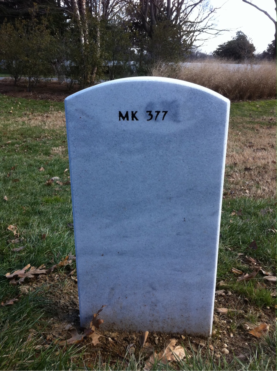Back of headstone — Sean Michael Barton