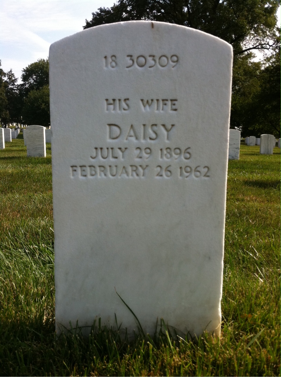 Back of headstone — Daisy Bedle