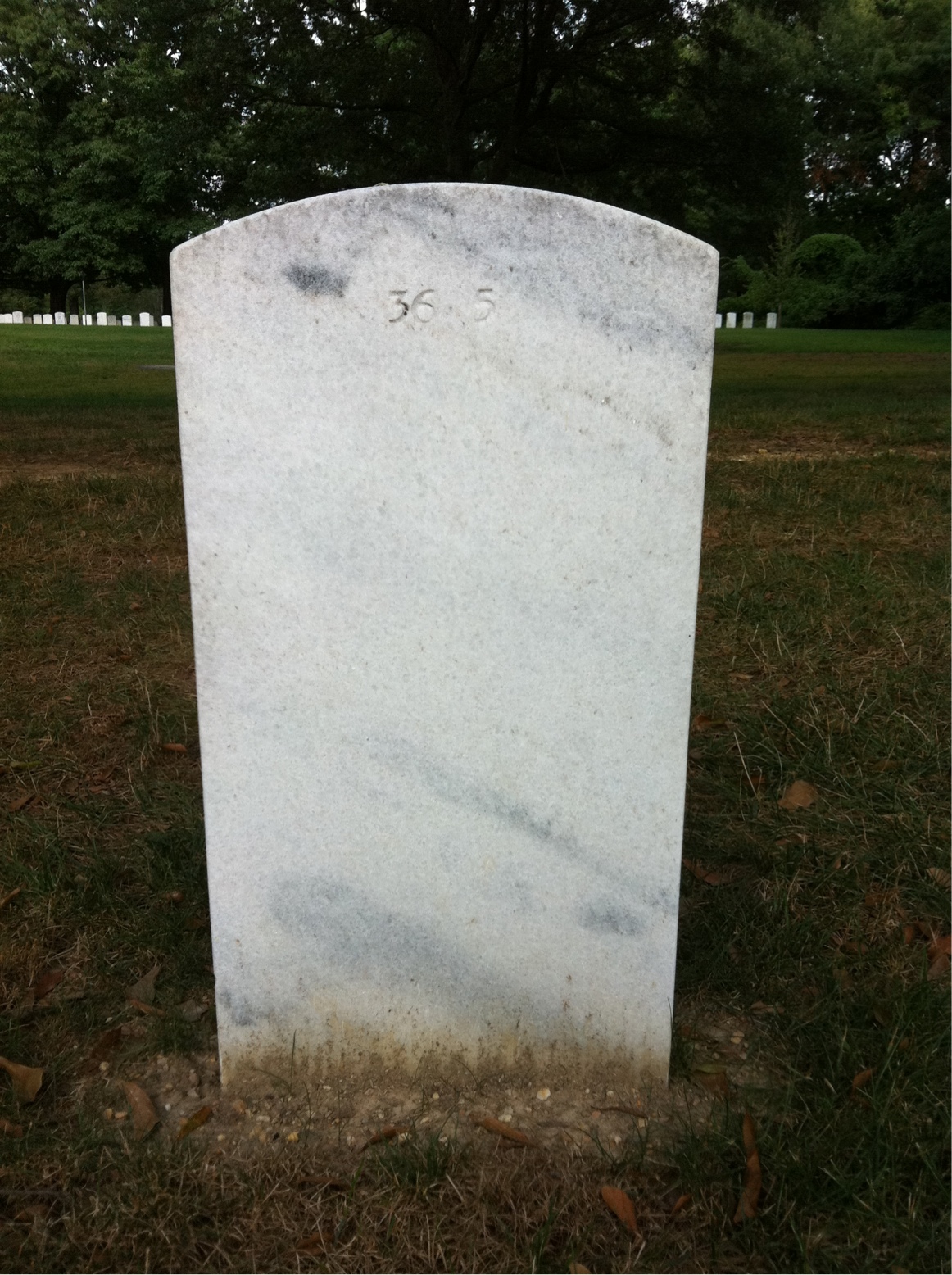Back of headstone — Octavia Anderson