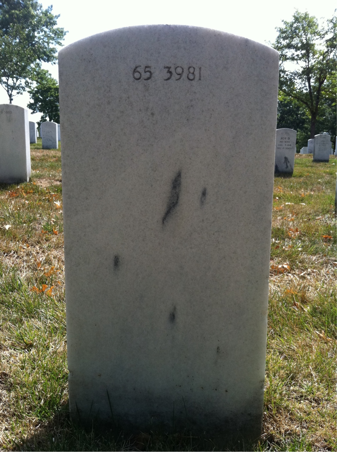 Back of headstone — Gerhold Walter Hoffmann