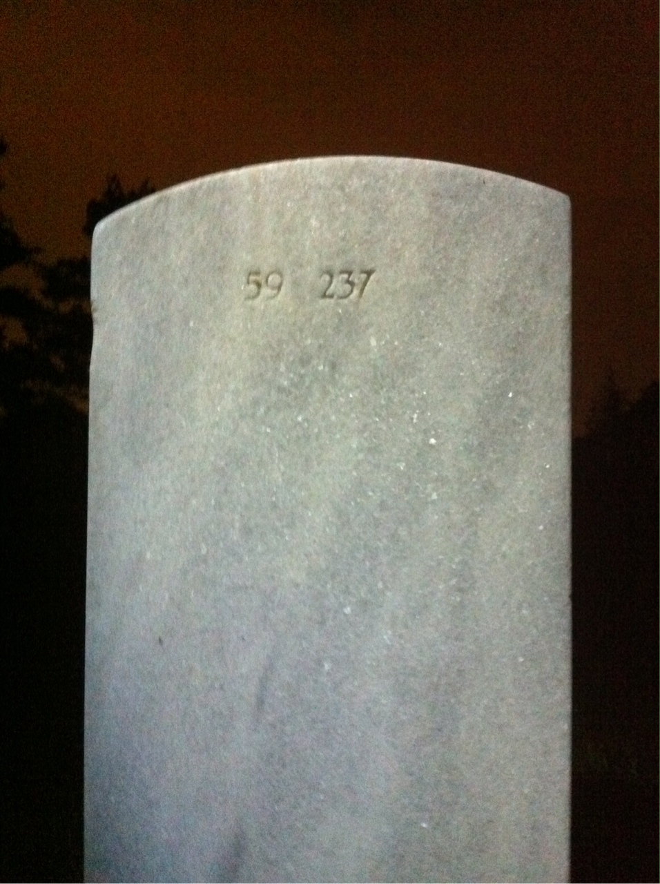 Back of headstone — William Wilkerson Cheeley