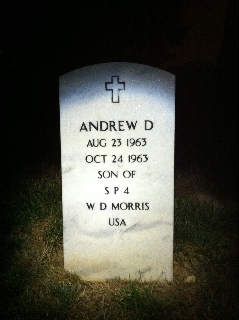 Andrew Morris