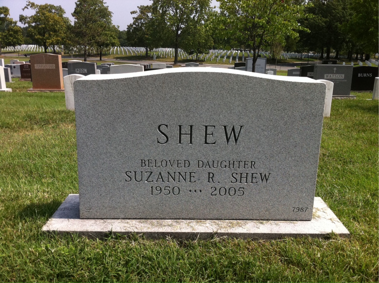 Back of headstone — James Shew