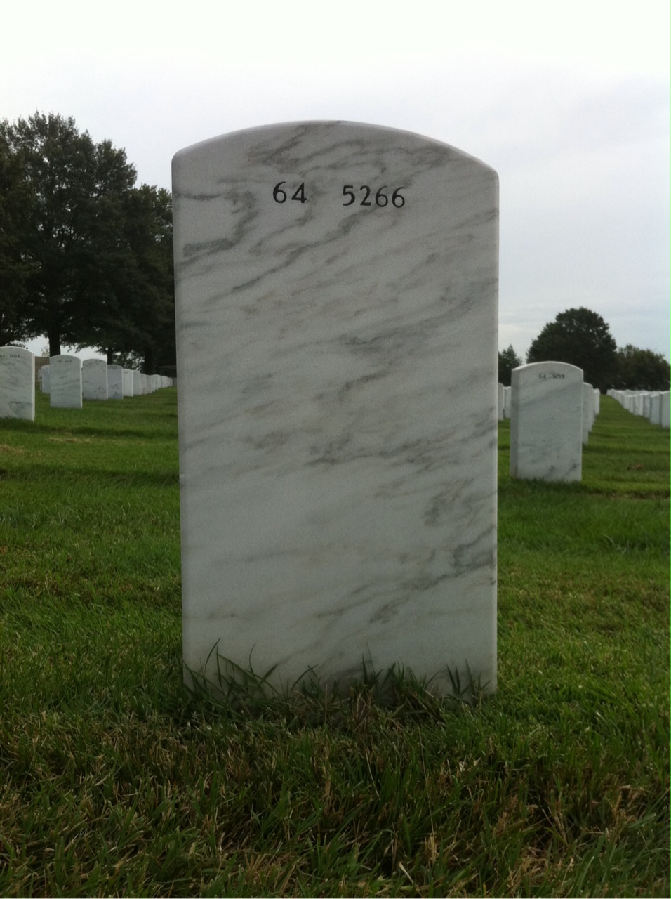 Back of headstone — Curtis Scoville
