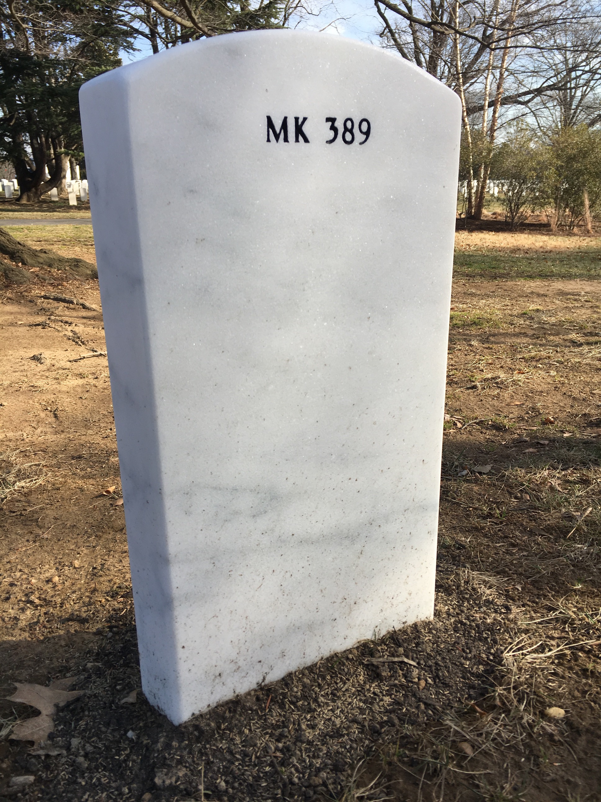 Back of headstone — Irving Munroe