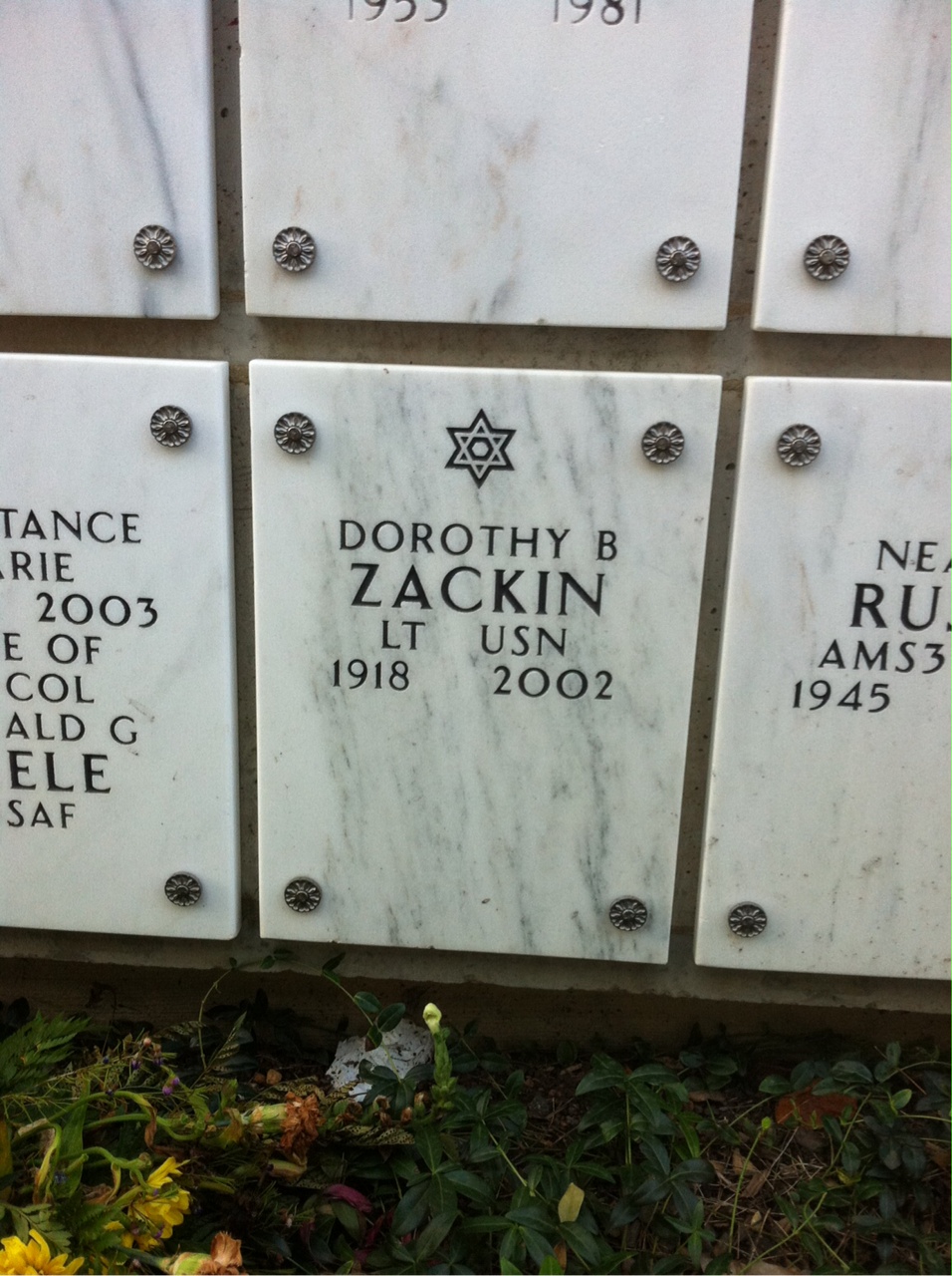 Dorothy Zackin