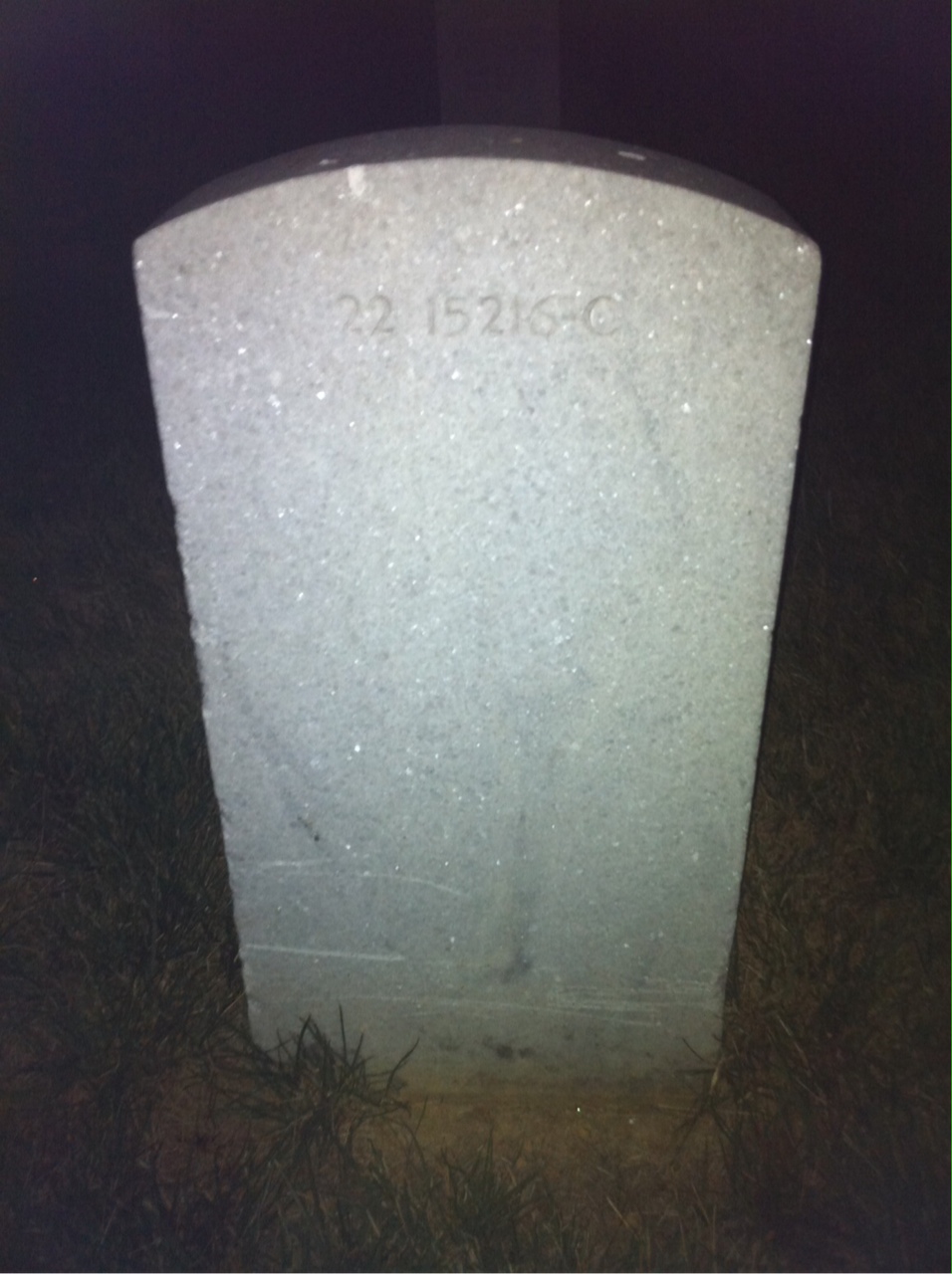 Back of headstone — Theresa Appich