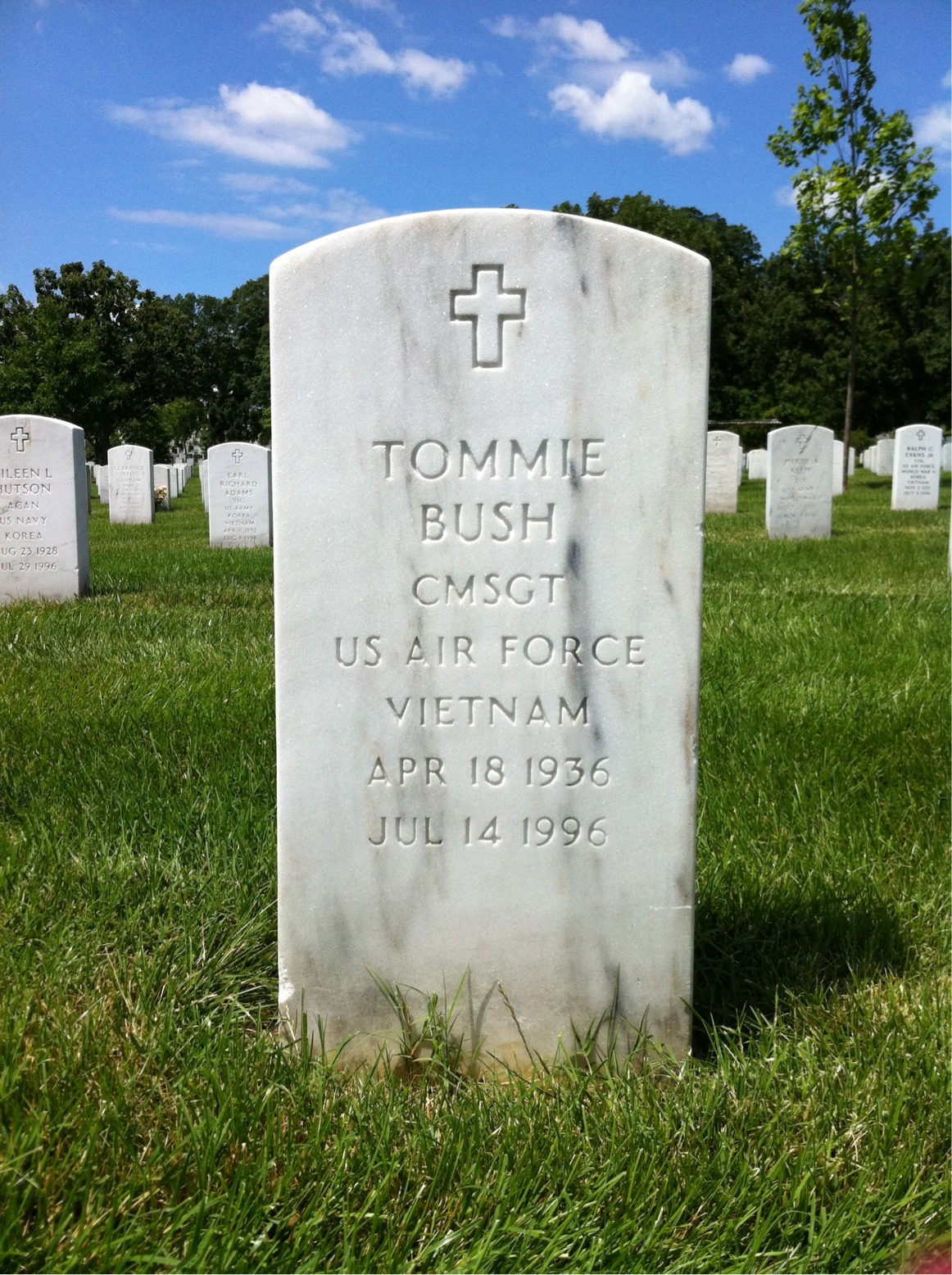 Tommie Bush