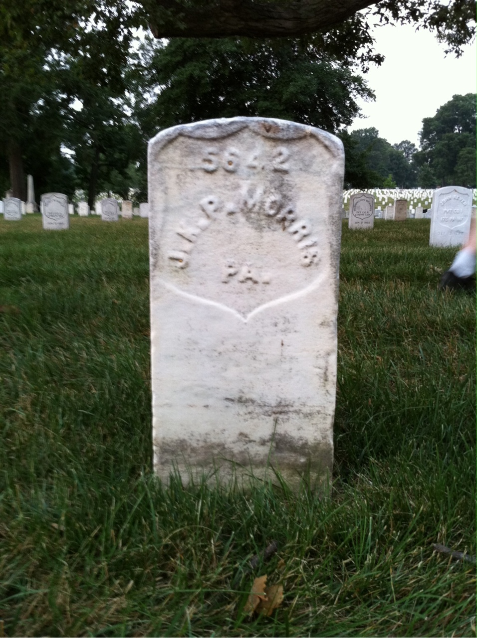 Back of headstone — J Morris