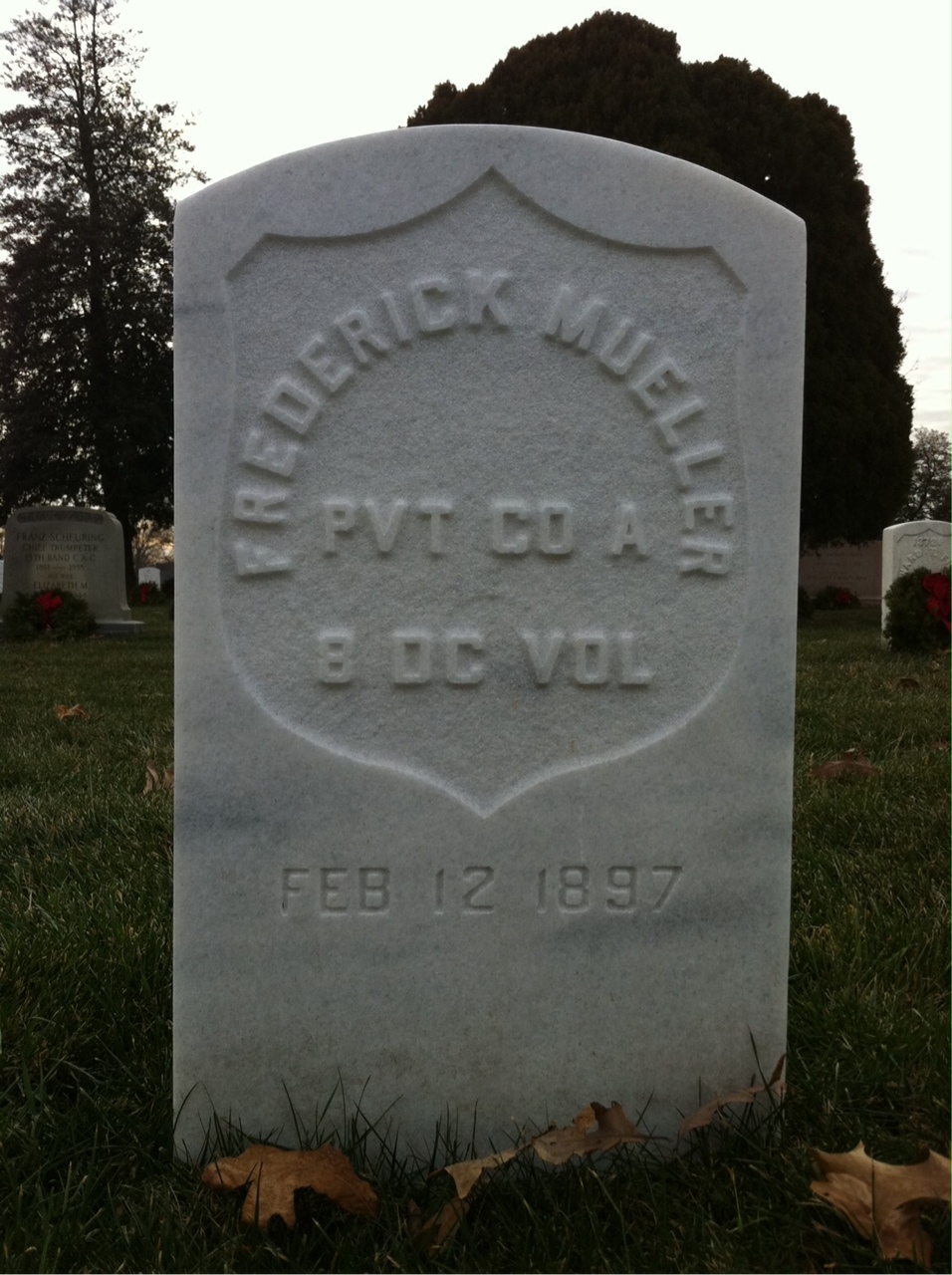 Elizabeth Mueller