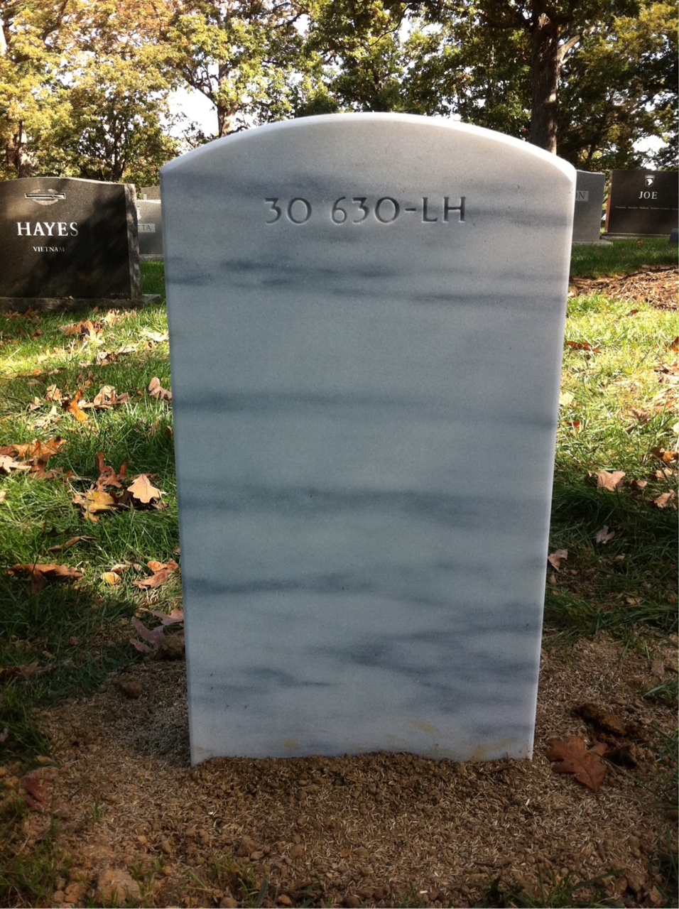 Back of headstone — Ulyess Upton