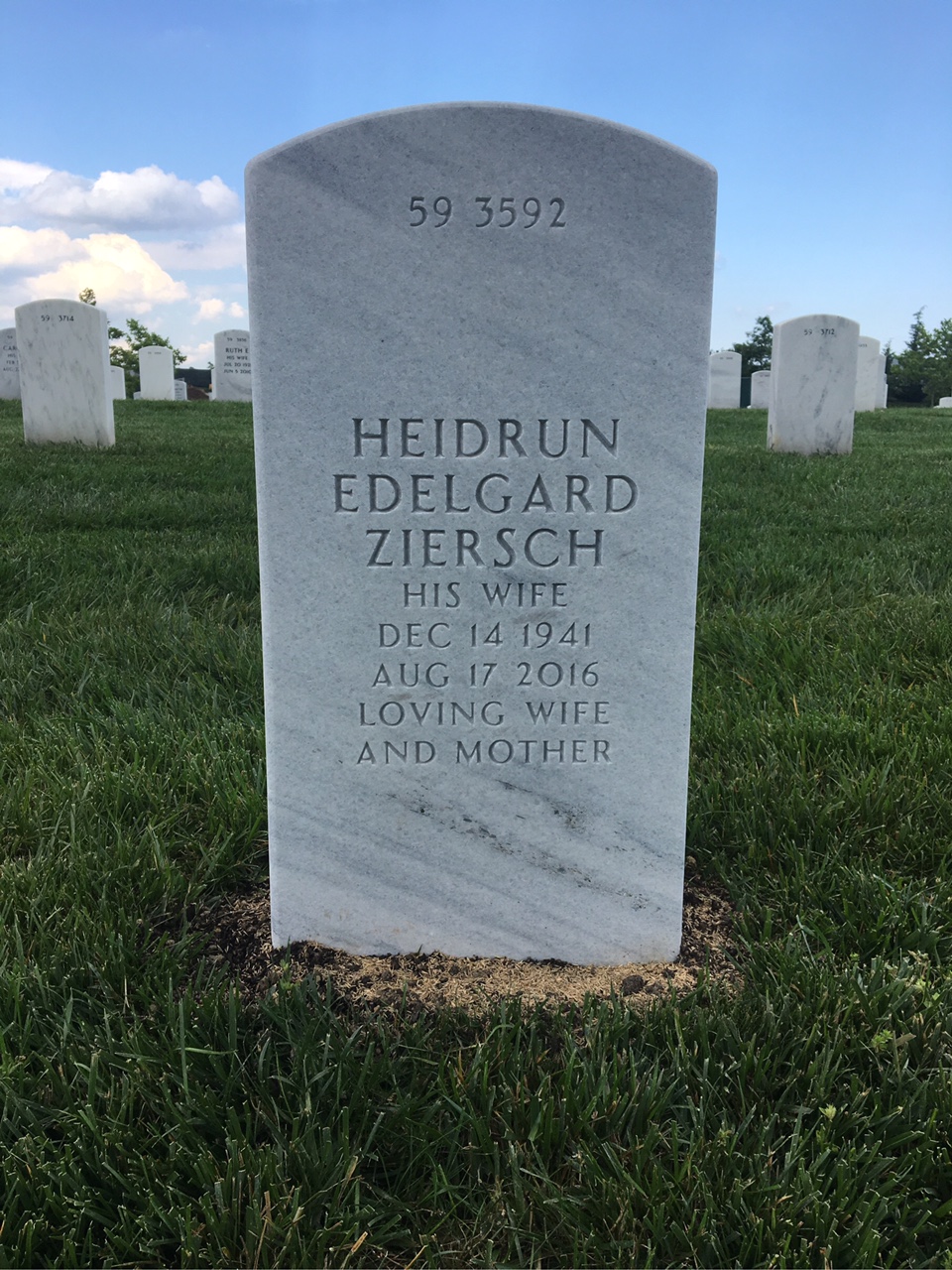 Back of headstone — Timothy Flavin