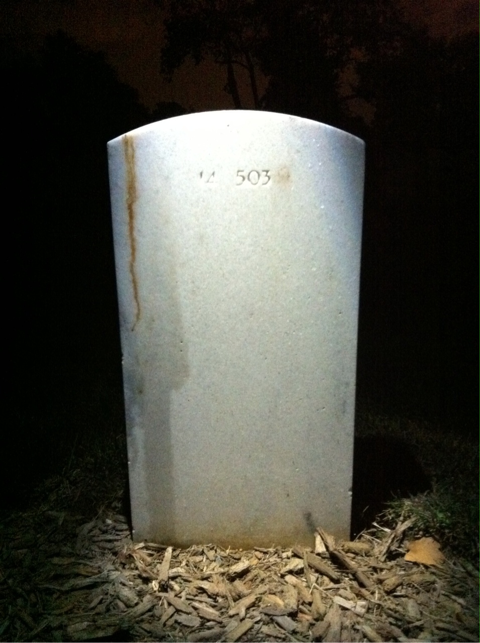 Back of headstone — Helen Alvis