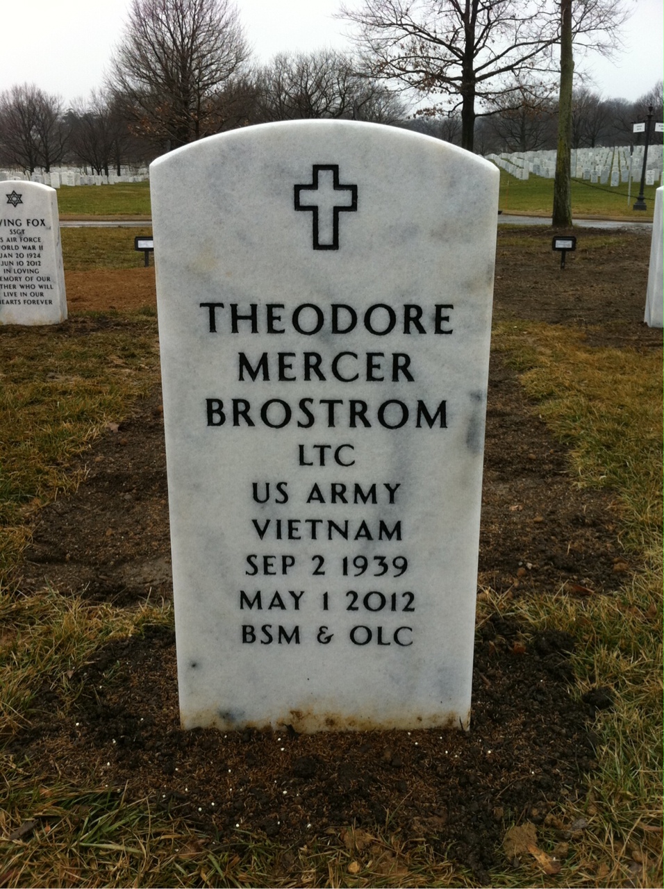 Theodore Mercer Brostrom