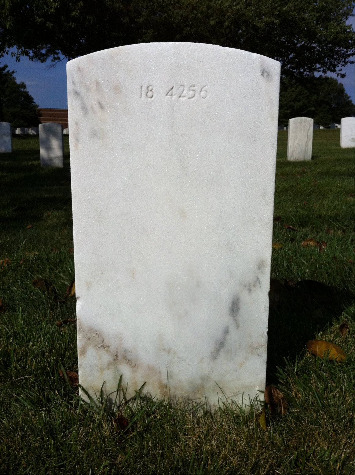 Back of headstone — David Baron