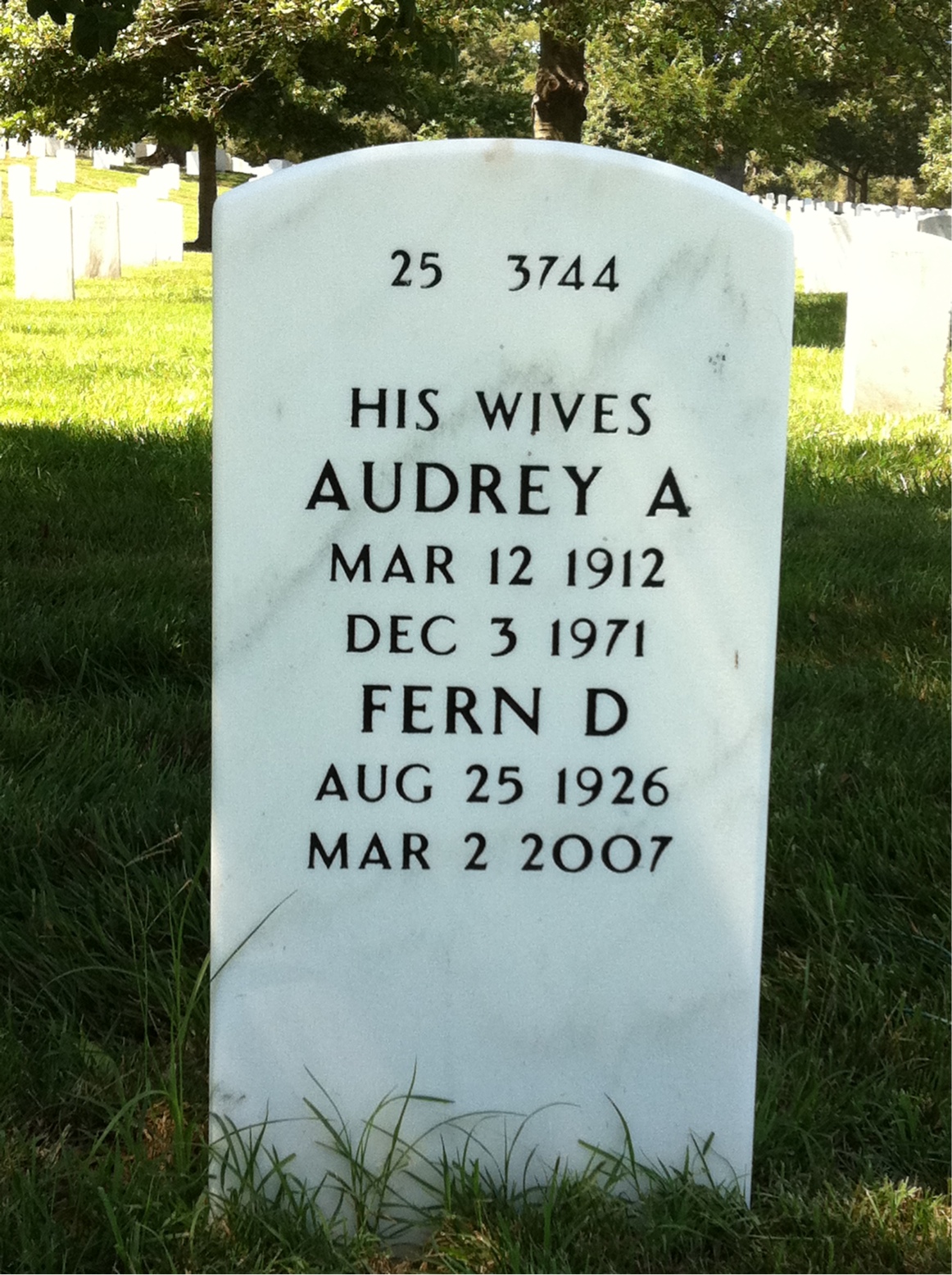 Back of headstone — John Cook